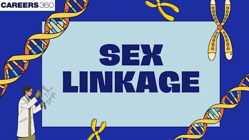 Define Sex Linkage: Definition, Overview, Examples, Explanation
